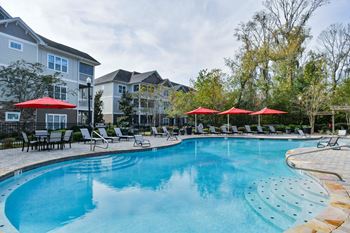 The swimming pool 